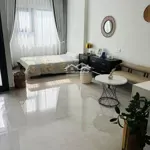 Cho thuê căn studio 33m ( 1pn) 3 triệu, full nội thất 4 - 5 triệu /tháng, có hồ bơi công viên