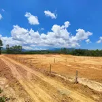 Bán lô đất rộng 3035m view đồi cao su rất đẹp tại đồi chè đông giang
