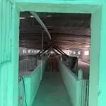 Thanh lý trại heo đồng nai 7,7 sào giá 9 tỷ lh 0933510039