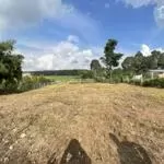 1100m2 đất hàng gòn full hồng đường xe hơi giá tổng sổ chỉ 800 triệu