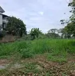 Bán đất đường tam đa phường trường thạnh tp thủ đức giá 11 tỷ