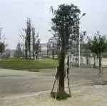 Centreville lương sơn bán lô view công viên mặt tiền 6m - 10m tới đại đô thị cầu sông bùi