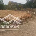 Bán đất tân dĩnh, lạng giang, bắc giang. 143m2- lô góc. giá 680tr