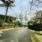 Hạ 2 tỷ bán gấp nhà trong kqh nguyễn khuyến p5 đà lạt