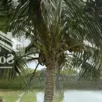 đất phù hợp đầu tư - kinh doanh dưới cầu dầu giây - thống nhất