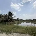 Kẹt tiền trả nợ - cần bán gấp lô đất vườn 2100m2 dầu giây, đồng nai