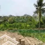 Bán đất tại long phước điền - long trường, 21,5 tỷ, 5358 m2, uy tín giá tốt
