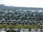 Bán các nền biêt thự, liền kề, kề góc, view hồ, công viên đường 30m tại golden bay cam ranh 601