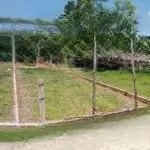 Bán đất nền 225m2 tại xã đại hiệp, đại lộc, quảng nam, 590 triệu vnd, chính chủ uy tín