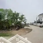 Bán ô góc 100m2 tại giàn chiếu, hợp thịnh, tam dương, vĩnh phúc