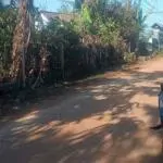 Chính chủ gởi bán lốc 6lô eakmat