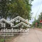 Bán ngộp 2396m2 tc ngay trường c2 an linh sát đường dh mt đường thông dân đông. gọi 0325030897 (vy)