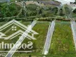 Bán gấp lô đất nền bình mỹ củ chi gần tuyến vành đai 3 & cao tốc mộc bài-hồ chí minh chỉ 1.35 tỷ