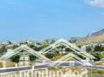 Cập nhật bảng giá golden bay tháng 3.2025