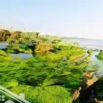 Xây homestay gần các địa điểm du lịch, cách biển chỉ 800m thì đừng bỏ qua lô đất này