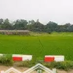 Siêu phẩm view cánh đồng đẹp đứng ở đất nhìn ra đường tỉnh lộ tại thôn 6-ba trại-ba vì-hà nội