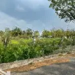 Bán đất nền biệt thự kdc đại học mở tam đa, view sông đồng nai, gần vinhomes q9, 300m2, 12.5tỷ