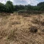 Cần bán 9898m2 đất chính chủ tại ấp 3, xã phước bình, huyện long thành, đồng nai, giá chỉ 20 tỷ.