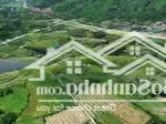 Bán lô đất thổ cư làm biệt thự vườn rất đẹp gần sông nơi tiện ích xung quanh đầy đủ giá rẻ sổ hồng