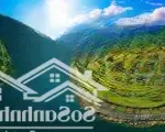Cần bán lô đất mặt tiền sông cu đê rất đẹp rộng 4000m2 làm khu du lịch sinh thái rất đẹp 01 sổ