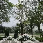 Hoa hậu tây hồ - mặt phố vipp - view thơm ngát hương sen - view sang với nhà giàu