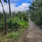Bán đất tại xã vị thủy, hậu giang, giá 1,953 tỷ, diện tích 2000 m2 có 1811m2 thổ cư
