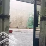 Bán nhà bán nhà riêng 125m2 tại đường số 34, trường tây, hòa thành, tây ninh, giá tốt 760 triệu