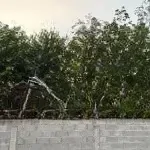 Cho thuê nhà vườn mới xây đẹp, đầy đủ nội thất cao cấp. phù hợp ở nghỉ dưỡng/kinh doanh dịch vụ