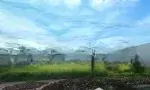 Bán đất 500 triệu/140m2mặt tiềnđ.châu văn đặng , phường 1 , bạc liêu . shr , full thổ cư