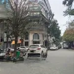 Bán đất nền dự án b1 - b2 tây nam linh đàm, 16 tỷ, 60m2, hàng hiếm tại hoàng mai