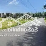 Lô đất thổ cư ngay sát tuyến diện tích: 753 mở rộng nối về sân bay long thành