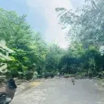 Cần bán gấp 1 lô đất đẹp đường nhân hoà 8