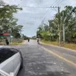 Tìm đâu ra đất biển sổ đỏ bình thuận, đường qh 29m, ra biển 5 phút - giá rẻ nhất thị trường