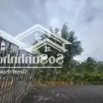 Cần bán mảnh đất hòa lạc quốc oai 220m2 mt 11m lô góc đẹp 2 mặt tiền ô tô tránh giá đầu tư 3 tỷ