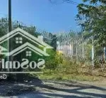 Bán đất, đ.nguyễn trọng quyền, trung kiên, thốt nốt,cần thơ, 550 triệu/120m2,cách co.opmart thốt nốt 1km
