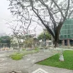 Bán đất cực chất 26,9 tỷ, 234m2 tại lê bình, an hải bắc, sơn trà, đà nẵng