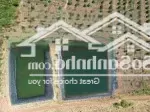 Cần bán 12 héc full sầu tại easin - krongbuk, đaklak, oto vào tận rẫy