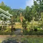 Cơ hội sở hữu farmstay giá rẻ chỉ trong 30 ngày! giá 3,5 tỷ nay còn 2,6 tỷ
