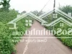 Cư bao, buôn hồ, đắk lắk, 400 triệu, 250 m2 đất thổ cư bán gấp chính chủ