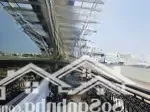 Nhà mái thái giữa tt liên nghĩa 8m x 40m, gần sân bay liên khương