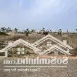 đất hàm tiến - mũi né, gần dự án sun gruop giá rẻ