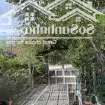 Nhà cấp 4, 300m2 full thổ cư. mặt tiền đường 387, tân an hội