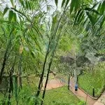 Bán nhà phân lô quân đội, ô tô tránh, view công viên vĩnh viễn, nhà chủ tự xây, lắp được thang máy.
