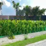 Bán đất nền 90m kdc dragon pearl nền góc 2mt xã đức hoà đông, đức hòa, long an, chỉ với 1,5tỷ
