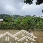 Bán nhà vườn sinh thái có suối sau nhà ô tô vào tận nơi. liên hệ ngay 0905257686