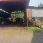 Bán kho xưởng 4500m2 xã hưng long, bình chánh