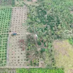 Bán đất tại hàng gòn, long khánh, đồng nai, 12 tỷ, 20000m2, giá ưu đãi