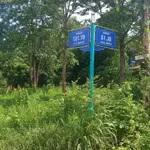 Bán đất đt 757, 950 triệu, 1061m2, thanh an, hớn quản, bình phước giá tốt