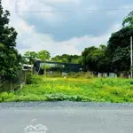 Miếng đất thổ cư đẹp chính chủ bán diện tích 500m2, giá rất rẻ, gần chợ