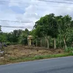 Vip bán đất mặt tiền đường thanh niên, 500m2, giá 9.8 tỷ